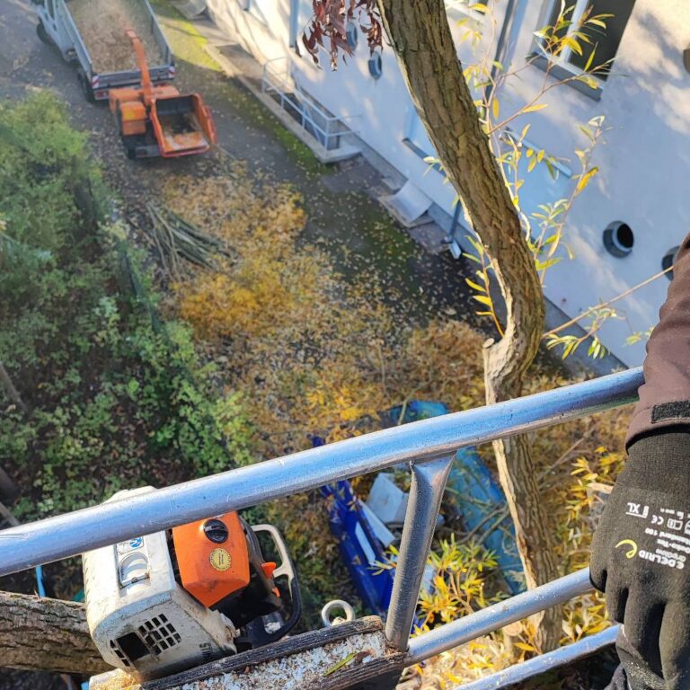 Die Baumprofiscv Zossen